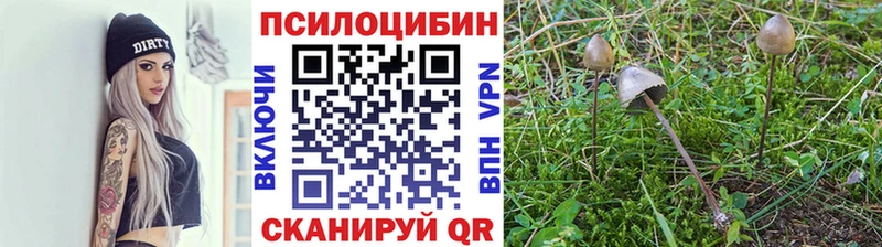Галлюциногенные грибы ЛСД  ссылка на мегу маркетплейс  Саранск 