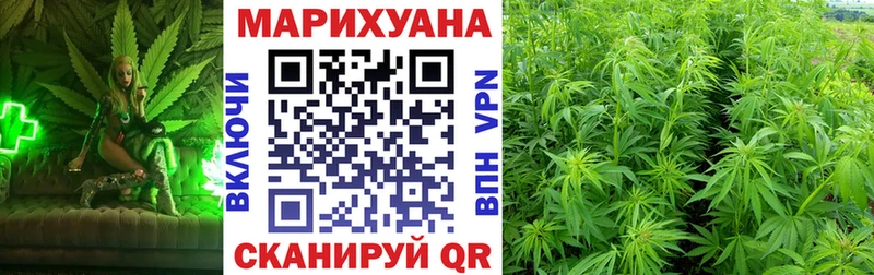 Бошки марихуана конопля Саранск